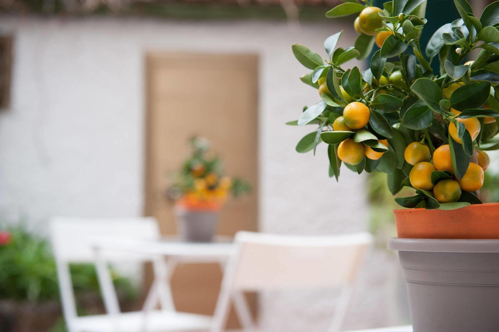 Piccarda Bed And Breakfast Florencja Zewnętrze zdjęcie